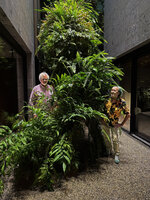 Patrick Blanc and Luis Contreras among the Racines Echasses by Patrick in the patio of Il Sereno on Como Lake, June 2025