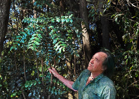 Patrick Blanc and Mahonia leschenaultii, Dodabetta peak, Ooty, Tamil Nadu, India, Jan. 2023