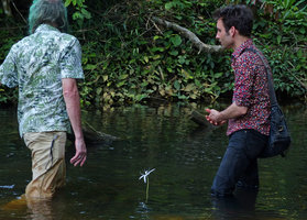 Patrick Blanc and Marc Jeanson in Crinum natans fast flowing river habitat, Kribi, Cameroun, March 2018