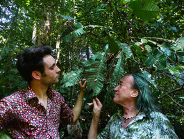 Patrick Blanc and Marc Jeanson observing the flowers of Phyllobotryon spathulatum emerging from the main central leaf vein due to adnation of the inflorescence axis, Kribi, Cameroon, March 2018