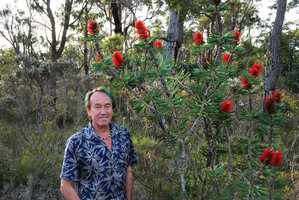 Patrick Blanc and Melaleuca glauca in a swamp, Walpole, Australia, Nov 2011