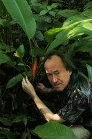 Patrick Blanc and Musa cf. ornata, Putao, Kachin, Myanmar, Dec. 2017