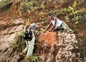Patrick Blanc and Nelson Rabenandrianina in the highly disturbed slopy Ravenala grandis habitat, Beforona, Madagascar, June 1998