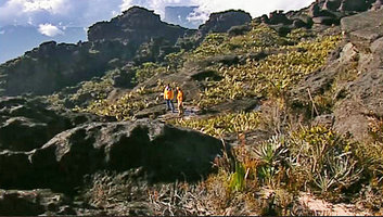 Patrick Blanc and Nicolas Hulot among Stegolepis guianensis clumps with Orectanthe spectrum and Brocchinia reducta in the foreground at the summit of Kukenan Tepui, Venezuela, March 1999