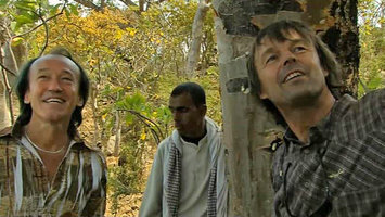Patrick Blanc and Nicolas Hulot in front of a Boswellia incense tree, Socotra, March 2005