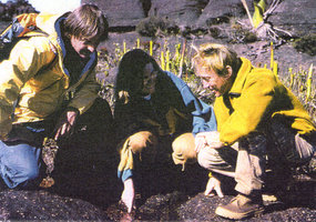 Patrick Blanc and Nicolas Hulot in front of a Brocchinia reducta population at the summit of the Kukenan tepui, Venezuela, March 1999