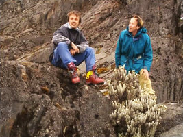 Patrick Blanc and Nicolas Hulot just above Helichrysum stuhlmannii at the vegetation limit altitude, Rwenzori Mt at 4800 m asl, Uganda, Feb. 1996