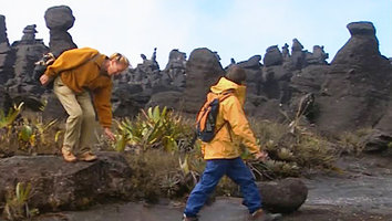 Patrick Blanc and Nicolas Hulot walking among the sandstone outcrops and Stegolepis guianensis clumps at the summit of Kukenan Tepui, Venezuela, March 1999