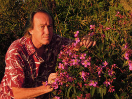 Patrick Blanc and Osbeckia stellata, Phu Chi Fa, Chiang Rai, Thailand, Nov. 2013