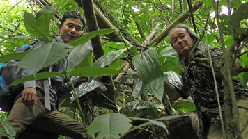Patrick Blanc and our guide Aung Myo Win around a saxicolous Orchid with huge leaves, maybe a form of Phaius tankervillae, Putao, Myanmar, Dec. 2017
