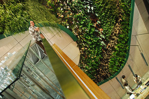 Patrick Blanc and part of the Vertical Garden, Icon Hotel, Hong Kong