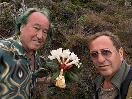 Patrick Blanc and Pascal Héni around the large white flowers of Rhododendron konori in highland savanna, Anggi Lakes, 2300 m asl, Arfak Mts, West Papua, May 2025