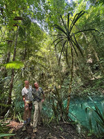 Patrick Blanc and Pascal Héni at the base of a tall monocaulous Pandanus balenii, Kali Biru, Warsambin, Waigeo, Raja Ampat, Southwest Papua, May 2025