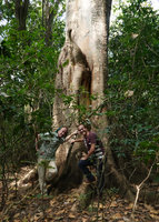 Patrick Blanc and Pascal Heni at the base of Ficus vasta, Nech Sar NP, Arba Minch, Ethiopia, Jan. 2019