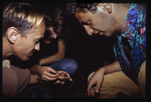 Patrick Blanc and Pascal Héni feeding the bat, Myonycteris torquata, Canopy Raft expedition, Cameroon, Oct. 1991