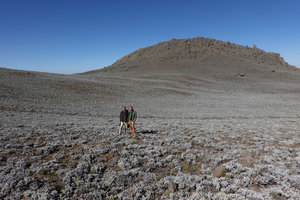 Patrick Blanc and Pascal Heni in the afroalpine steppe mostly covered by Helichrysum splendidum, Sanetti Plateau, 4200 m asl, Bale NP, Ethiopia, Jan. 2019