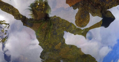 Patrick Blanc and Pascal Héni reflection in the Riviere Bleue, just above the submerged fern Blechnum francii, Chutes de la Madeleine, New caledonia, Aug. 2023