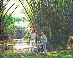 Patrick Blanc and Pascal Héni standing at the base of a clump of the spiny Bambusa arundinacea, Mudumalai NP, India, Sept. 2002