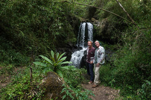 Patrick Blanc and Pascal Heni surrounded by Lobelia giberroa and the bamboo Yushania (syn. Arundinaria) alpina, Harenna forest, Bale NP, 2800 m asl, Ethiopia, Jan. 2019