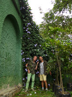 Patrick Blanc and Pascal Heni with a bright blue form of Thunbergia laurifolia in the botanical garden, Medellin, Colombia, Nov. 2016