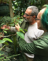 Patrick Blanc and Patrick Rose debating about Begonias at the Conservatoire du Begonia, Rochefort, France, Oct. 2018