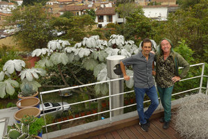 Patrick Blanc and Pedro Franco at his home with the bright white leaves of Cecropia telealba, Bogota, Colombia, Nov.. 2016