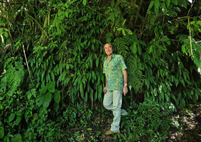 Patrick Blanc and Peperoma lancifolia covering a vertical seeping rock, Mirador Rey Tepepul, Lake Atitlan, Guatemala, Dec. 2019