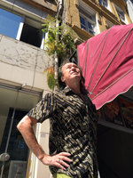 Patrick Blanc and Pteridium aquilinum growing in a gutter, Istanbul, Sept. 2015