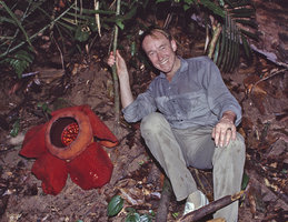 Patrick Blanc and Rafflesia kerrii, Khao Sok NP, Thailand, 31st Dec 1999