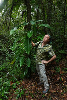 Patrick Blanc and Rhodospatha wendlandii, Mountain Pine Ridge Reserve, Belize, Jan. 2020