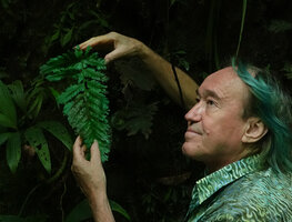 Patrick Blanc and the blue green iridescent Trichomanes elegans, Mashpi FR, Pichincha, Ecuador, Aug. 2021