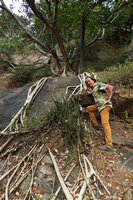 Patrick Blanc and the bright white roots of a Ficus covering a rock slab, Chinnar WS, Kerala, India, Jan. 2023