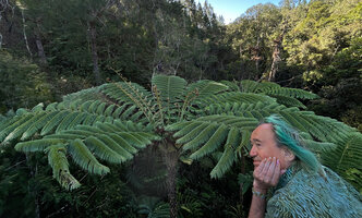 Patrick Blanc and the crown of Sphaeropteris intermedia, Bopope, New Caledonia, Aug. 2023