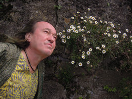 Patrick Blanc and the naturalized Erigeron karvinskianus, Como Lake, Italy, May 2016