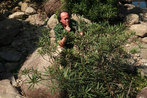 Patrick Blanc and the rheophytic Ficus ischnopoda, Elephant Springs, Hue, Vietnam, Oct. 2018