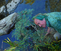 Patrick Blanc and the rheophytic shrubby Phyllanthus bourgeoisii, Poya, New Caledonia, Aug. 2023