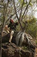 Patrick Blanc and the root system of Ficus abutilifolia, Mumbo Island, Lake Malawi NP, Aug. 2017