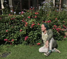 Patrick Blanc and the rosy red Amphilophium (syn. Phaedranthus, Bignonia)  buccinatorium in hotel garden, Addis Abeba, Ethiopia, Jan. 2019