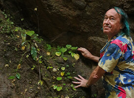 Patrick Blanc and the small unifoliate Ariopsis protanthera on a vertical rock face close to a waterfall, Mae Surin NP, Thailand, Oct. 2023