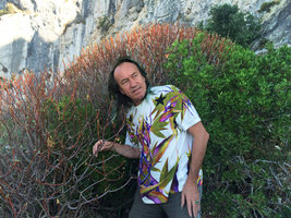 Patrick Blanc and the summer caducous Euphorbia dendroides and the evergreen Pistacia lentiscus, Eze Village, Alpes Maritimes, France, Aug. 2015