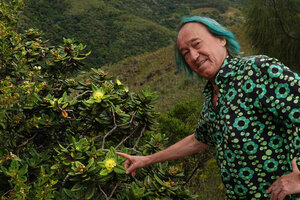 Patrick Blanc and Xanthostemon multiflorus, Thio, New Caledonia, Aug. 2023