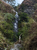 Patrick Blanc approaching Medinilla vanoverberghii on vertical cliff close to waterfall, Banaue, 1600 m asl, Banaue, Luzon, Philippines, April 2026