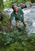 Patrick Blanc approaching the rheophytic Elatostema kietanum, Imbu Rano, Kolombangara, Solomon Islands, Sept. 2019