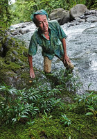 Patrick Blanc approaching the rheophytic Elatostema kietanum, Imbu Rano, Kolombangara, Solomon Islands, Sept. 2019