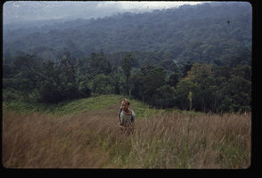 Patrick Blanc around Ekom Falls, Cameroun, 1991