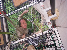 Patrick Blanc arriving at the Etoile des Cimes in the rainforest canopy, Hinboun, Laos, May 2012