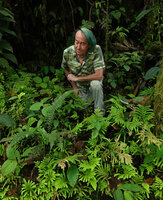 Patrick Blanc at forest edge among Selaginella,  Mashpi FR, Pichincha, Ecuador, Aug. 2021