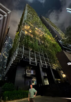 Patrick Blanc at night at the base of Le Nouvel towers, Kuala Lumpur, April 2023