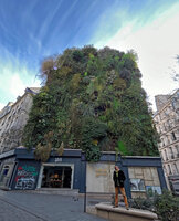 Patrick Blanc at Oasis d'Aboukir in winter, Paris, Feb. 2023