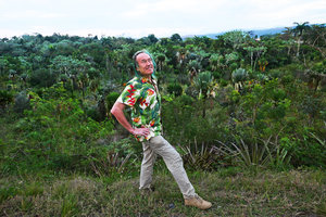 Patrick Blanc at sunset above a population of Copernicia rigida in a gully, Moa, Cuba, Feb.2017 [nid: 12845]